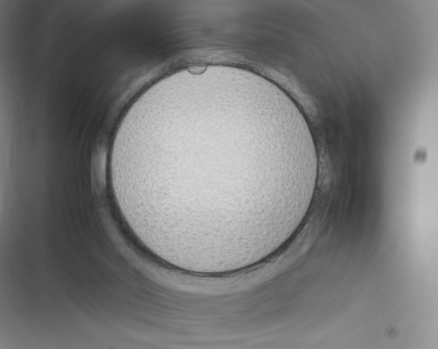X0000116330014201001131034