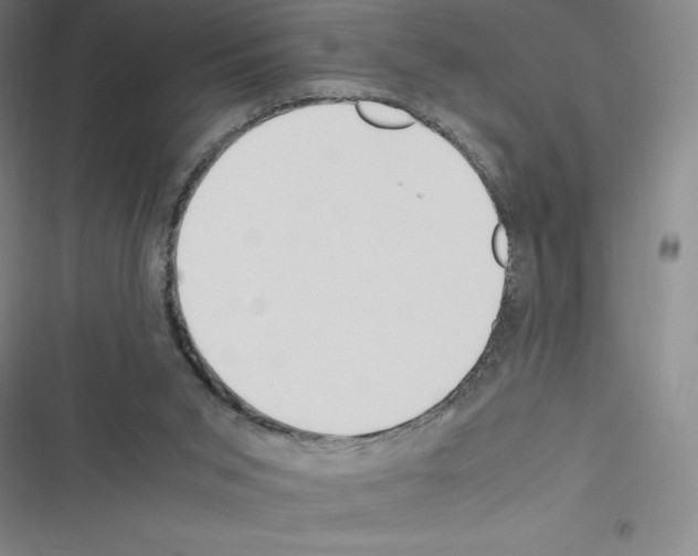 X0000116330015201001131034