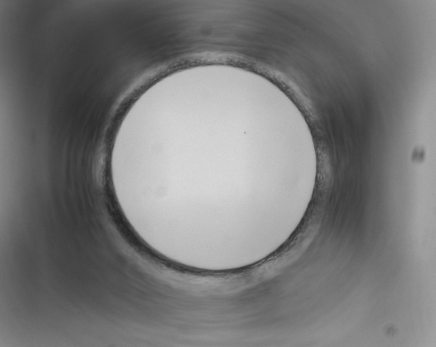 X0000116330016201001131034