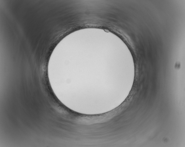 X0000116330017201001131034