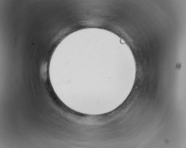 X0000116330020201001131034