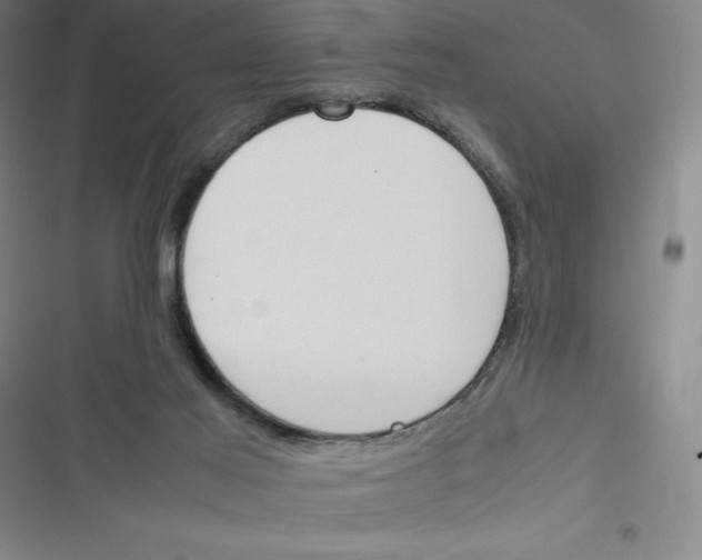X0000116330021201001131034