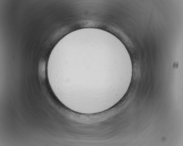 X0000116330022201001131034