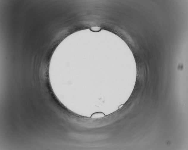 X0000116330023201001131034