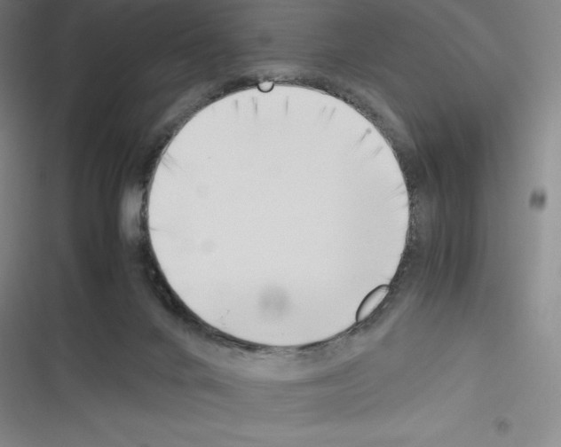 X0000116330024201001131034