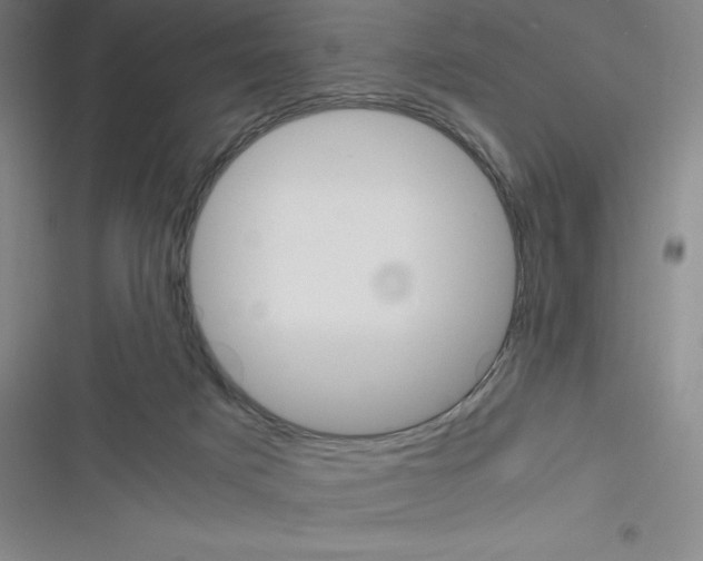 X0000116330025201001131034
