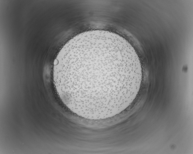 X0000116330026201001131034