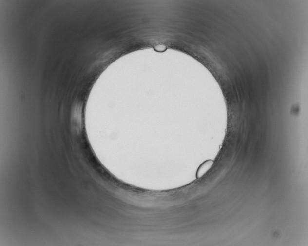 X0000116330028201001131034