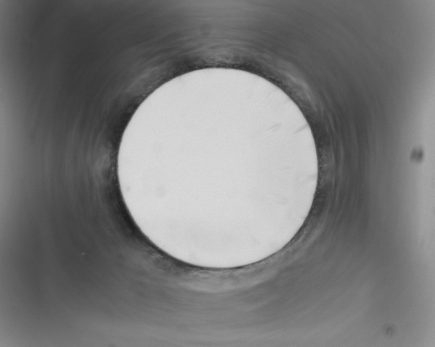 X0000116330029201001131034