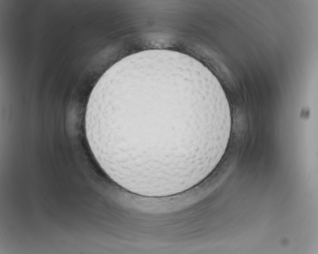X0000116330030201001131034
