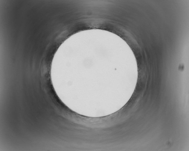 X0000116330031201001131034