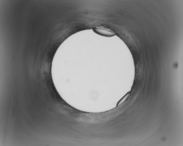 X0000116330033201001131033