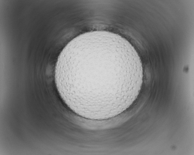 X0000116330034201001131033