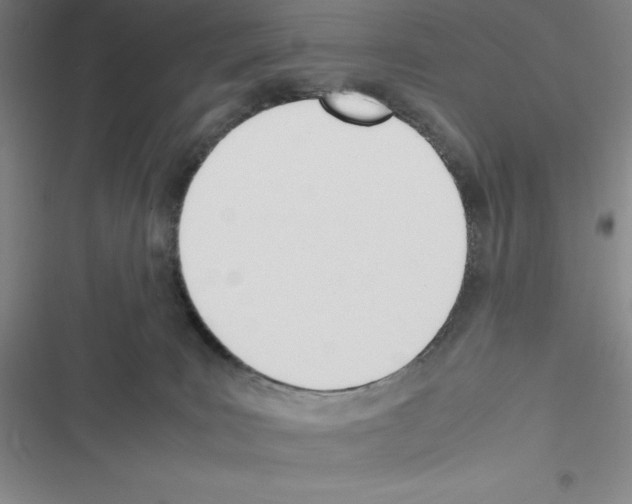 X0000116330035201001131033