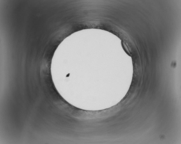 X0000116330037201001131033