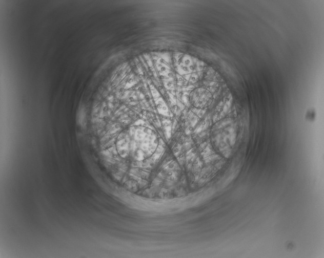 X0000116330038201001131033