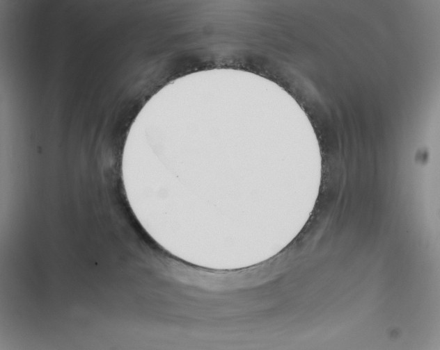 X0000116330039201001131033