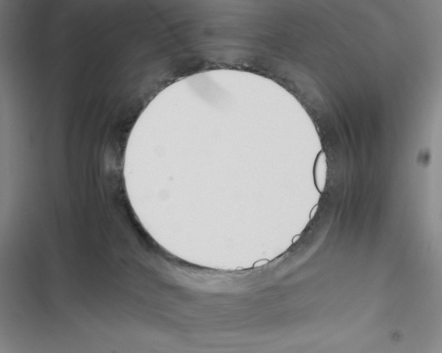 X0000116330040201001131033