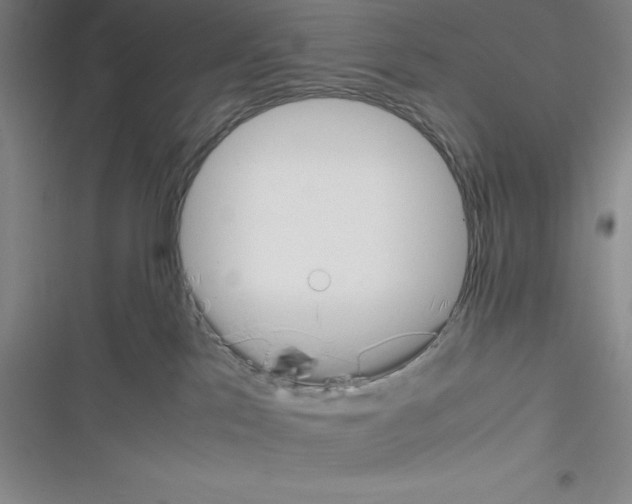 X0000116330041201001131033