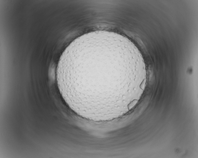 X0000116330042201001131033