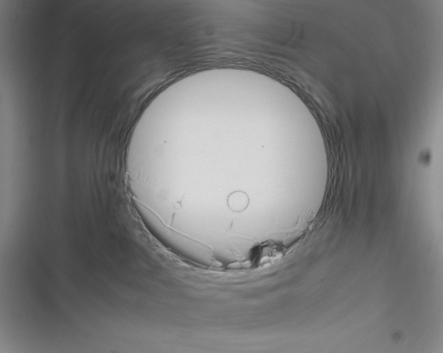 X0000116330043201001131033