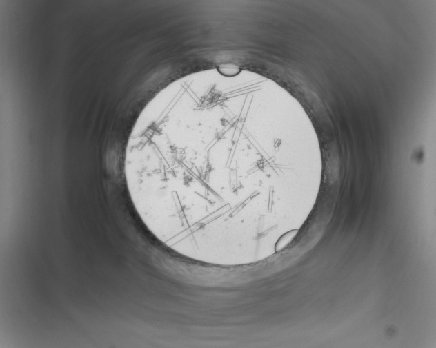 X0000116330044201001131033