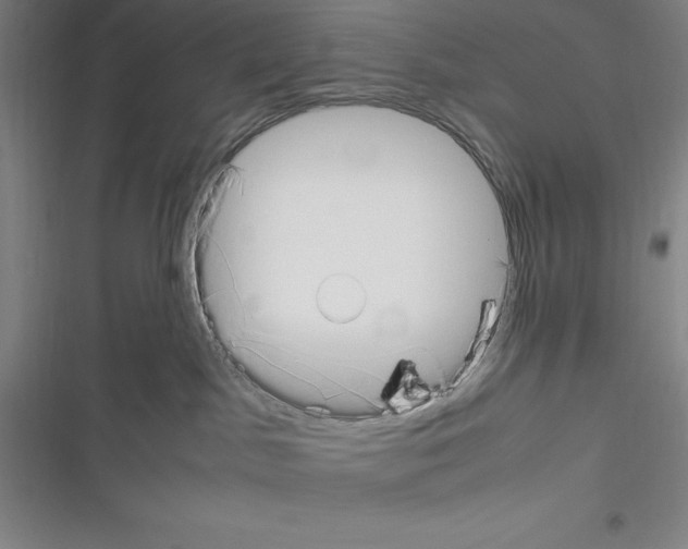 X0000116330045201001131033