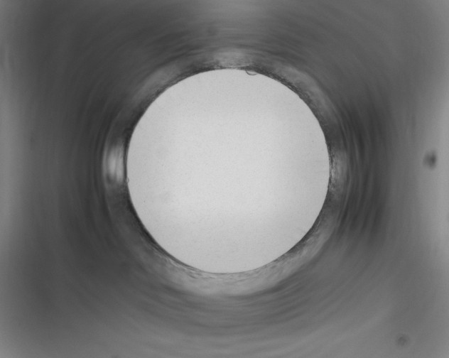 X0000116330046201001131033