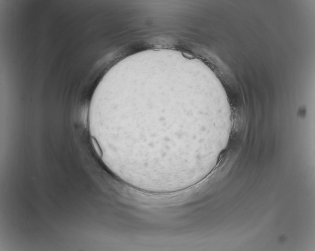 X0000116330047201001131033