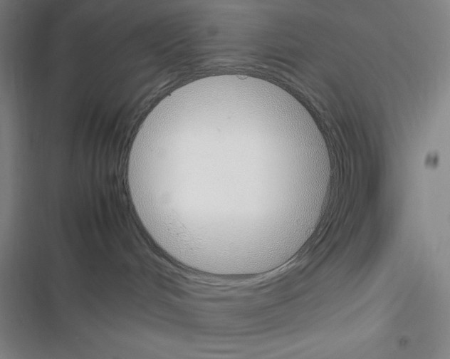 X0000116330048201001131033