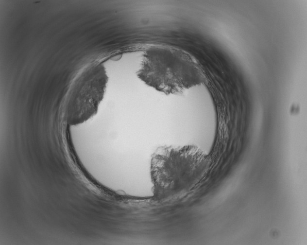 X0000116330049201001131033