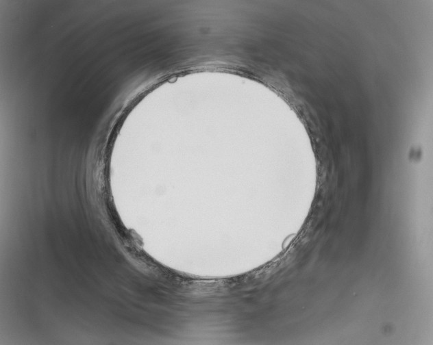X0000116330050201001131033