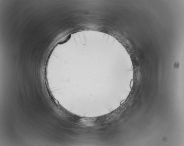 X0000116330051201001131033