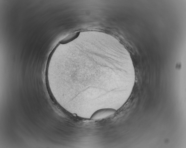 X0000116330052201001131033