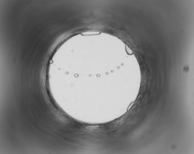 X0000116330054201001131033