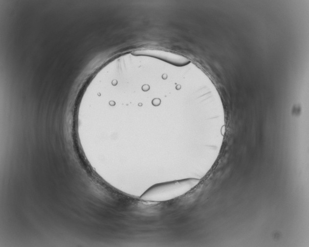 X0000116330055201001131033