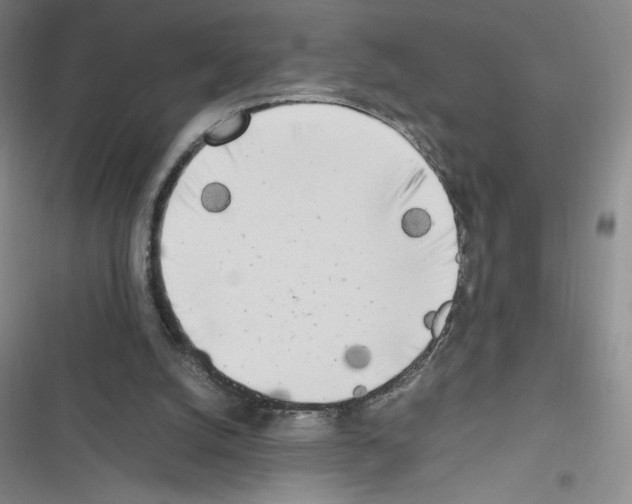 X0000116330056201001131033