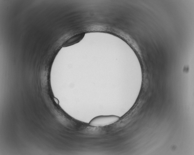 X0000116330057201001131033