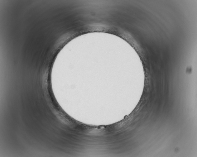 X0000116330058201001131033
