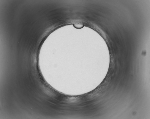X0000116330059201001131033