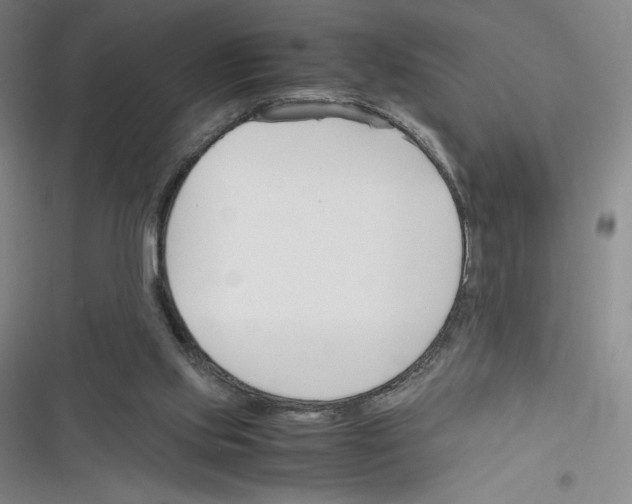 X0000116330061201001131033