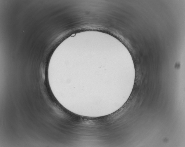 X0000116330062201001131033