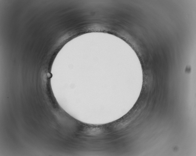X0000116330063201001131033