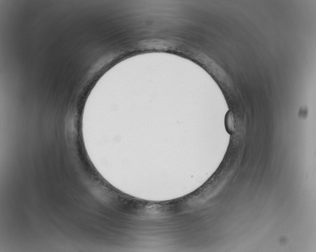 X0000116330064201001131033
