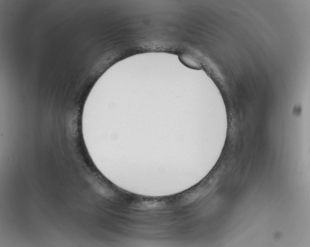 X0000116330065201001131033