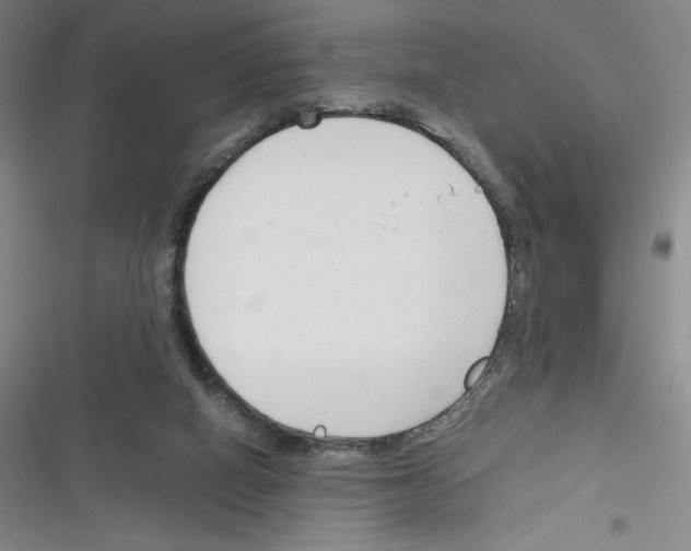 X0000116330066201001131033