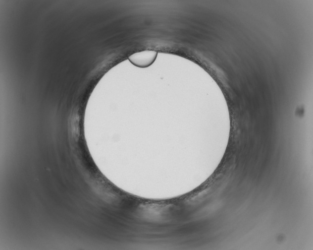 X0000116330067201001131033