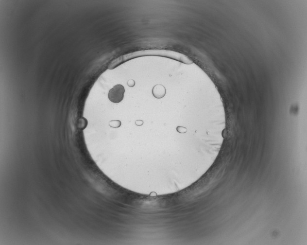 X0000116330068201001131033