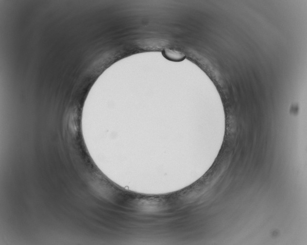 X0000116330069201001131033