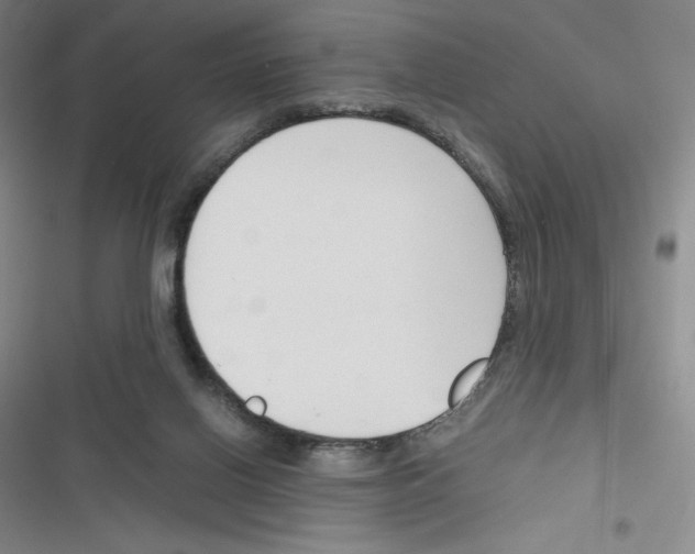 X0000116330070201001131033